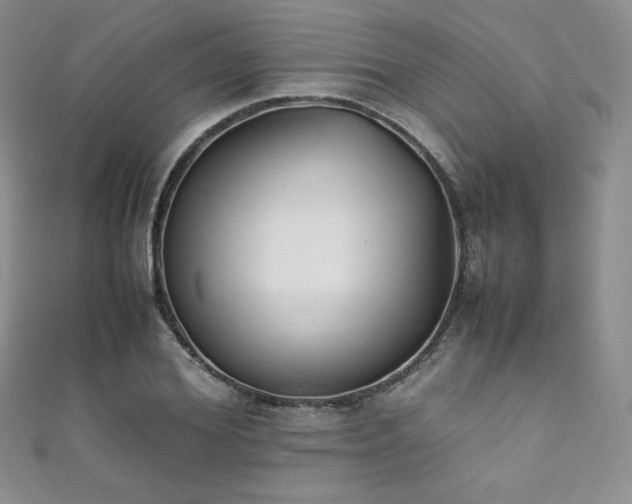 X0000111850980200907231425