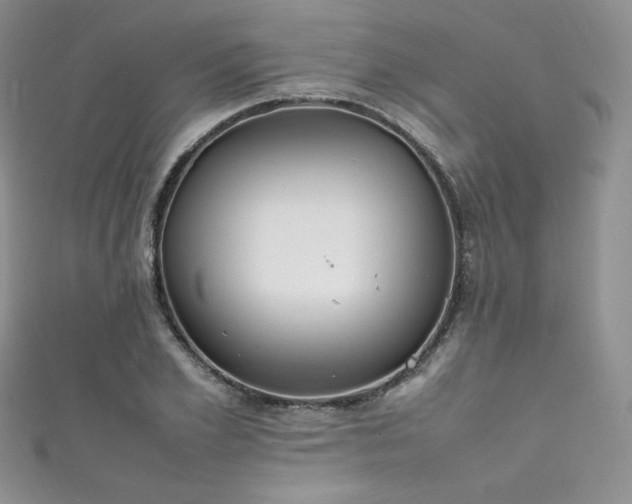 X0000111850981200907231425