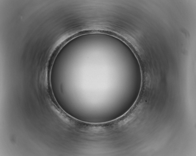X0000111850982200907231425