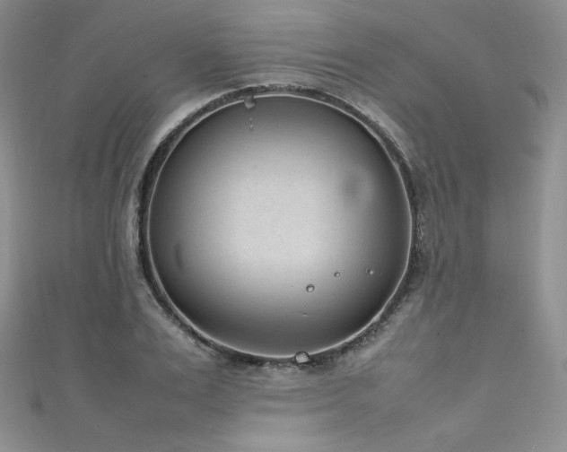 X0000111850983200907231425
