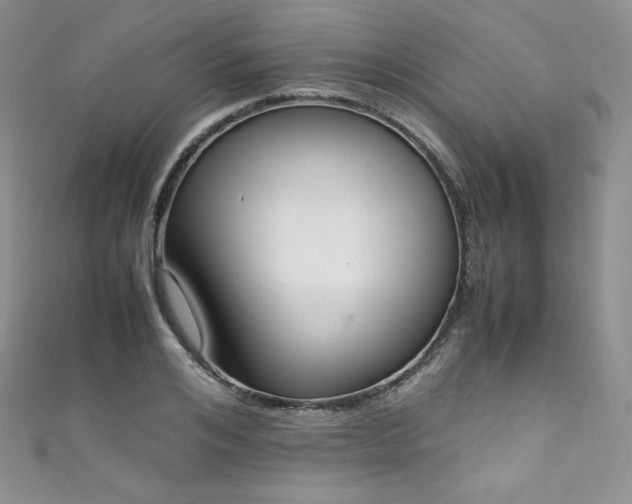 X0000111850984200907231425