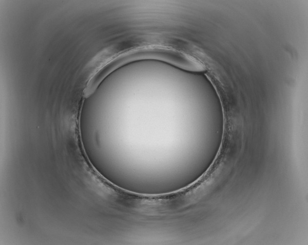 X0000111850985200907231425