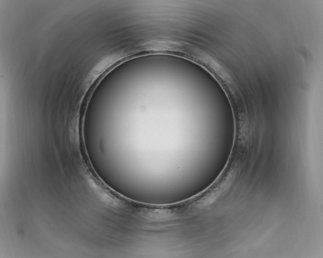 X0000111850986200907231425
