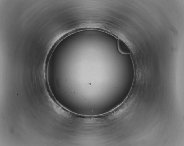 X0000111850988200907231425