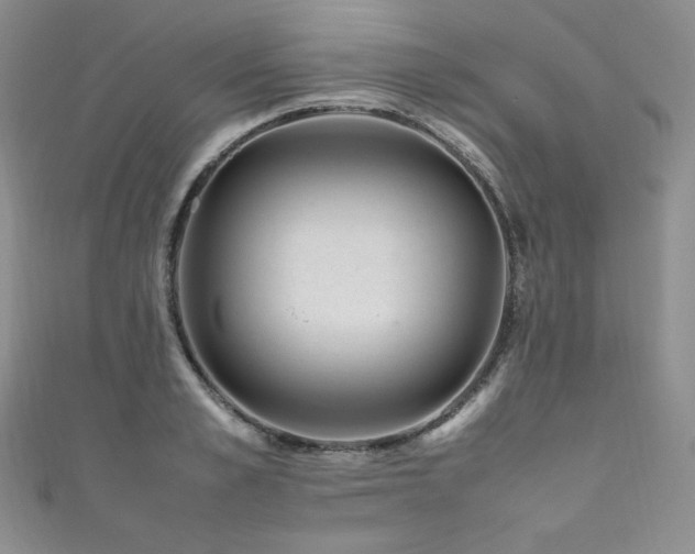 X0000111850989200907231425
