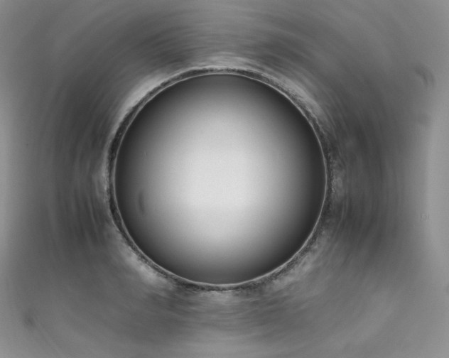 X0000111850990200907231425
