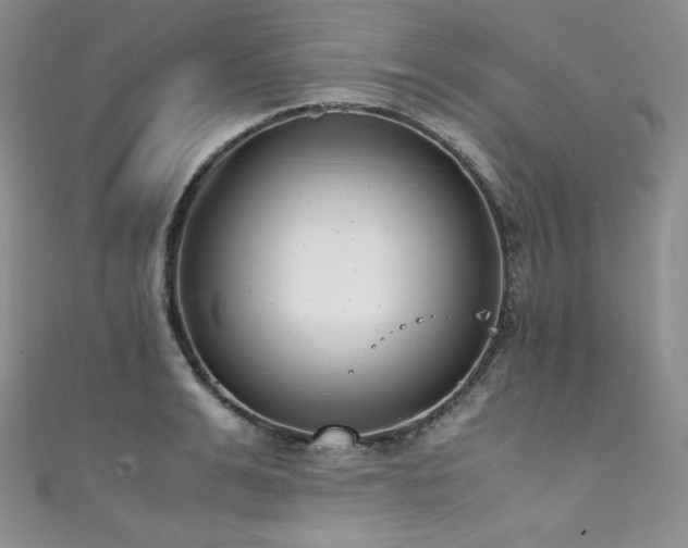 X0000111850991200907231425