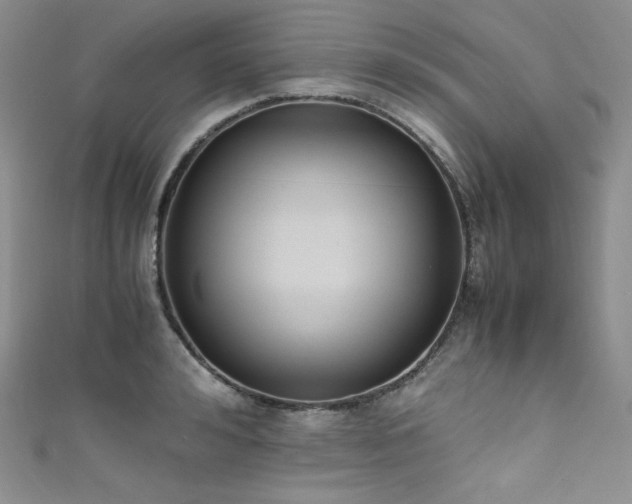 X0000111850992200907231425
