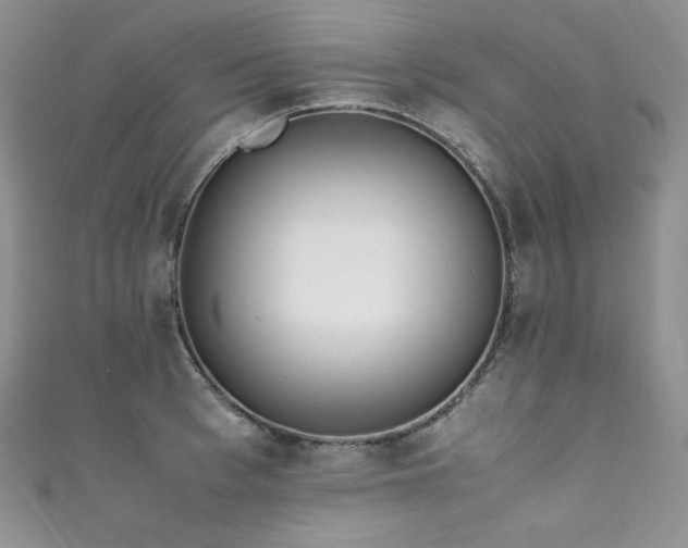 X0000111850993200907231425
