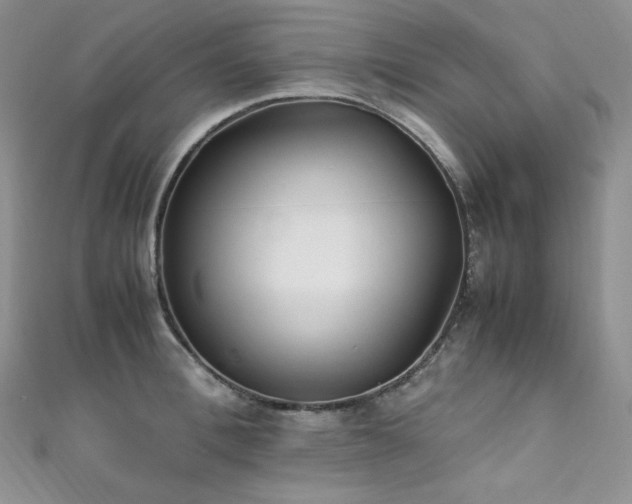 X0000111850996200907231425