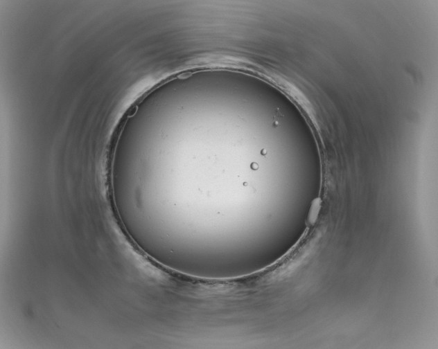 X0000111850997200907231425
