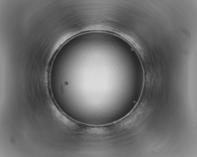 X0000111850998200907231425
