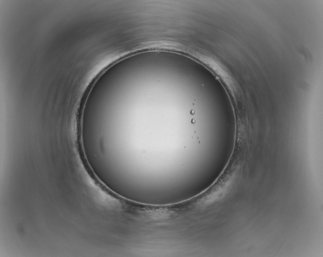 X0000111850999200907231424
