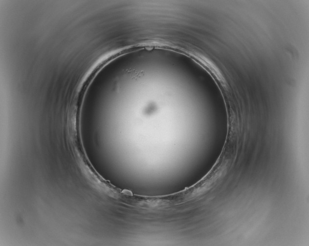 X0000111851000200907231424