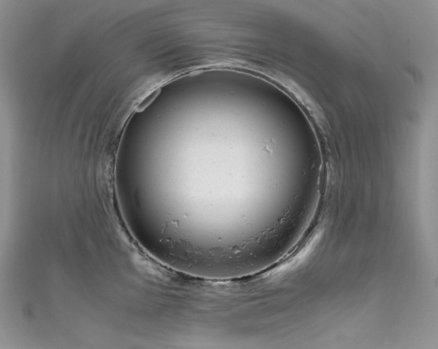 X0000111851001200907231424