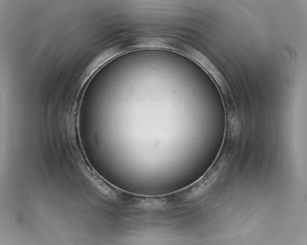 X0000111851002200907231424