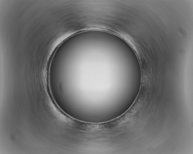 X0000111851003200907231424