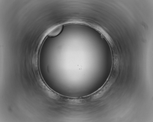 X0000111851004200907231424
