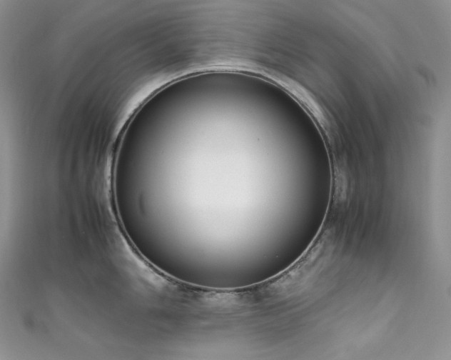 X0000111851006200907231424