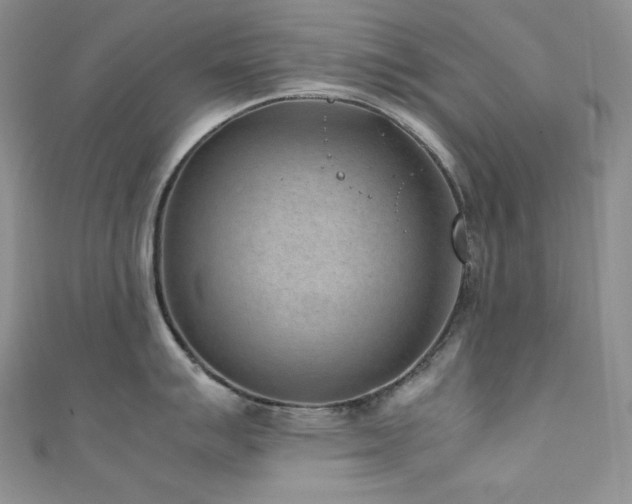 X0000111851007200907231424