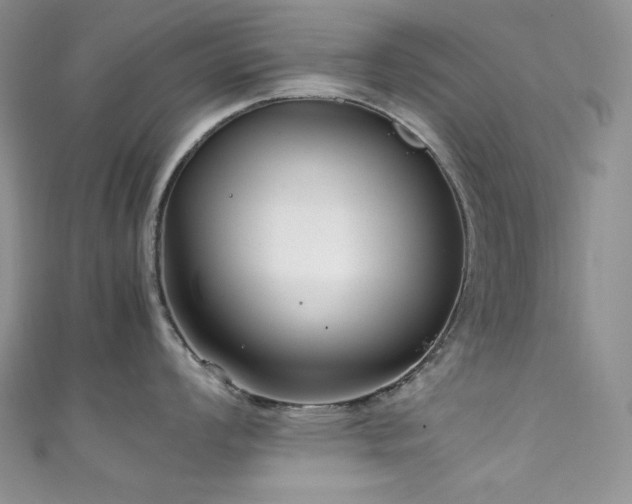 X0000111851008200907231424
