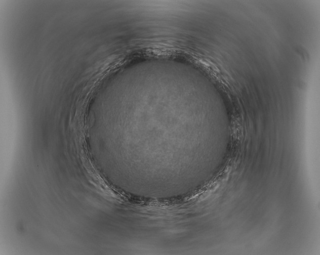 X0000111851009200907231424