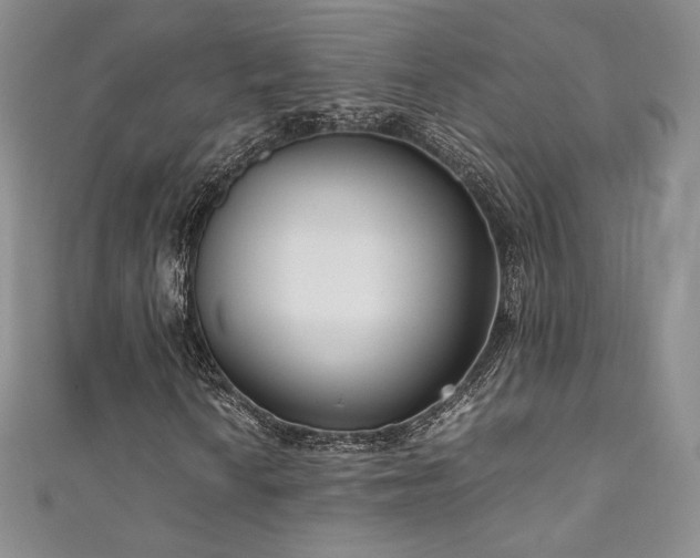 X0000111851010200907231424