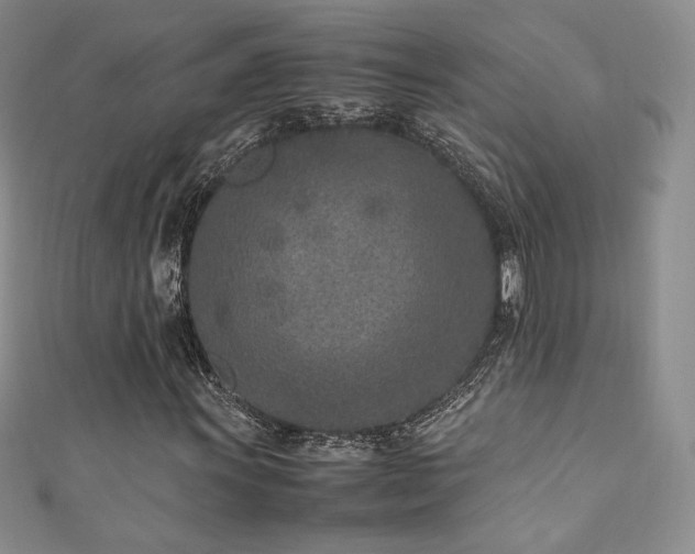 X0000111851011200907231424