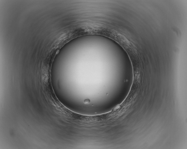 X0000111851012200907231424
