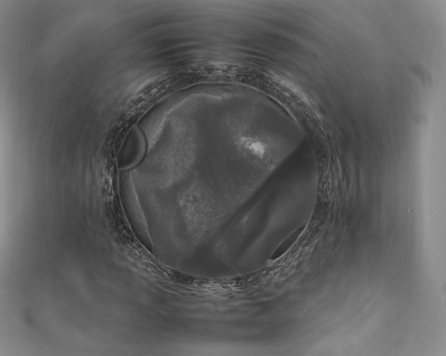 X0000111851013200907231424