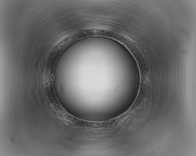 X0000111851014200907231424