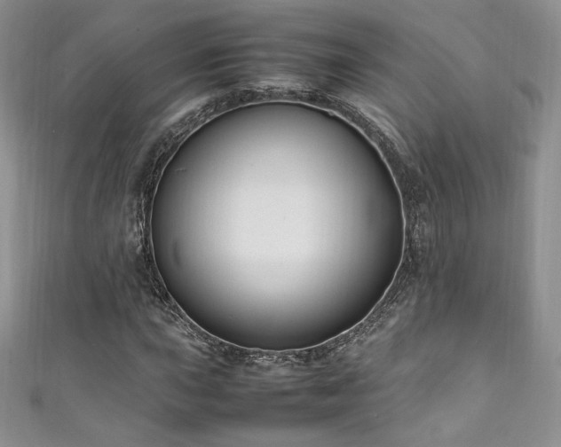 X0000111851015200907231424
