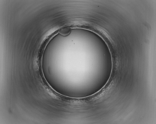 X0000111851018200907231424