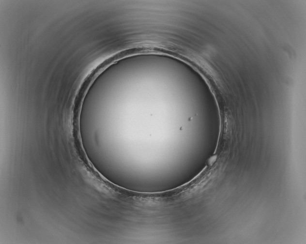 X0000111851020200907231424
