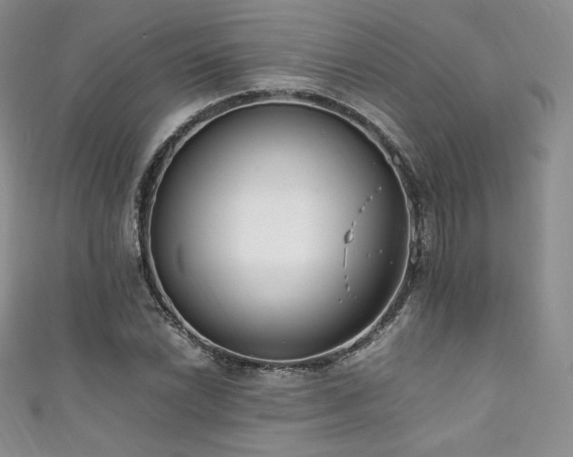 X0000111851022200907231424