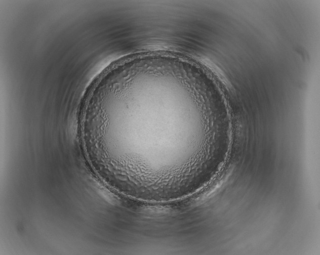 X0000111851023200907231424