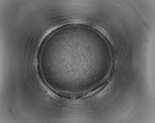X0000111851024200907231424