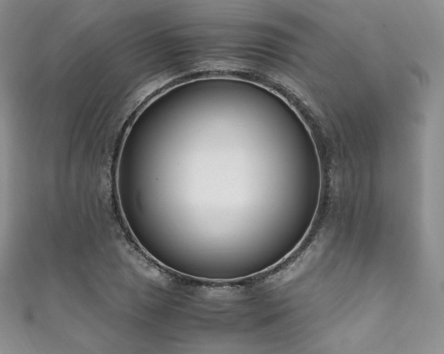 X0000111851025200907231424