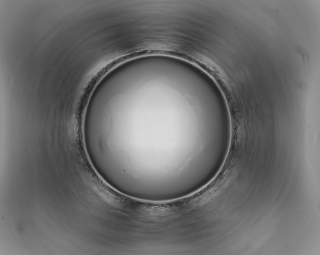 X0000111851027200907231424