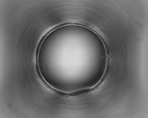 X0000111851028200907231424