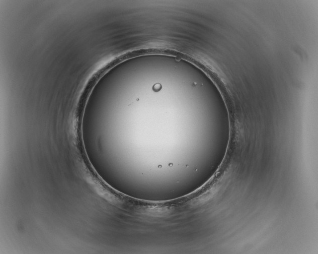 X0000111851029200907231424