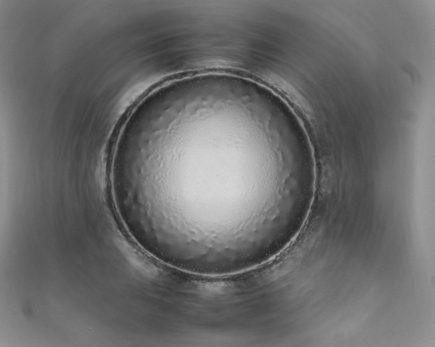 X0000111851031200907231424