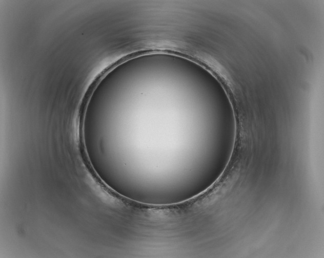 X0000111851032200907231424