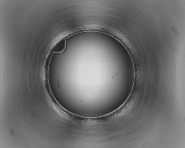 X0000111851034200907231424