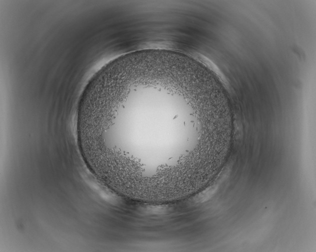 X0000111851035200907231424
