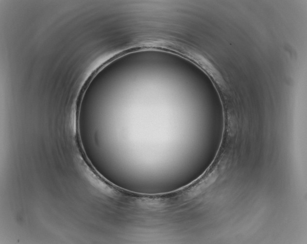 X0000111851036200907231424