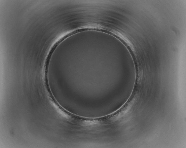 X0000111851037200907231424