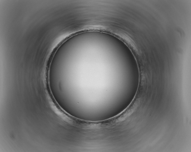 X0000111851038200907231424