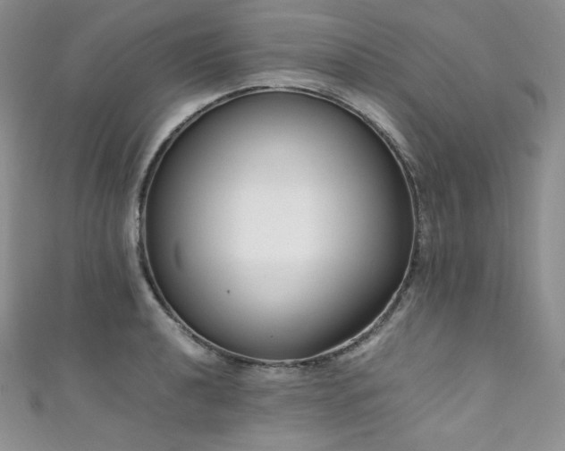 X0000111851040200907231424