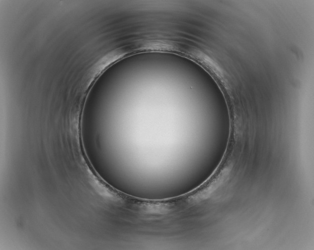 X0000111851041200907231424